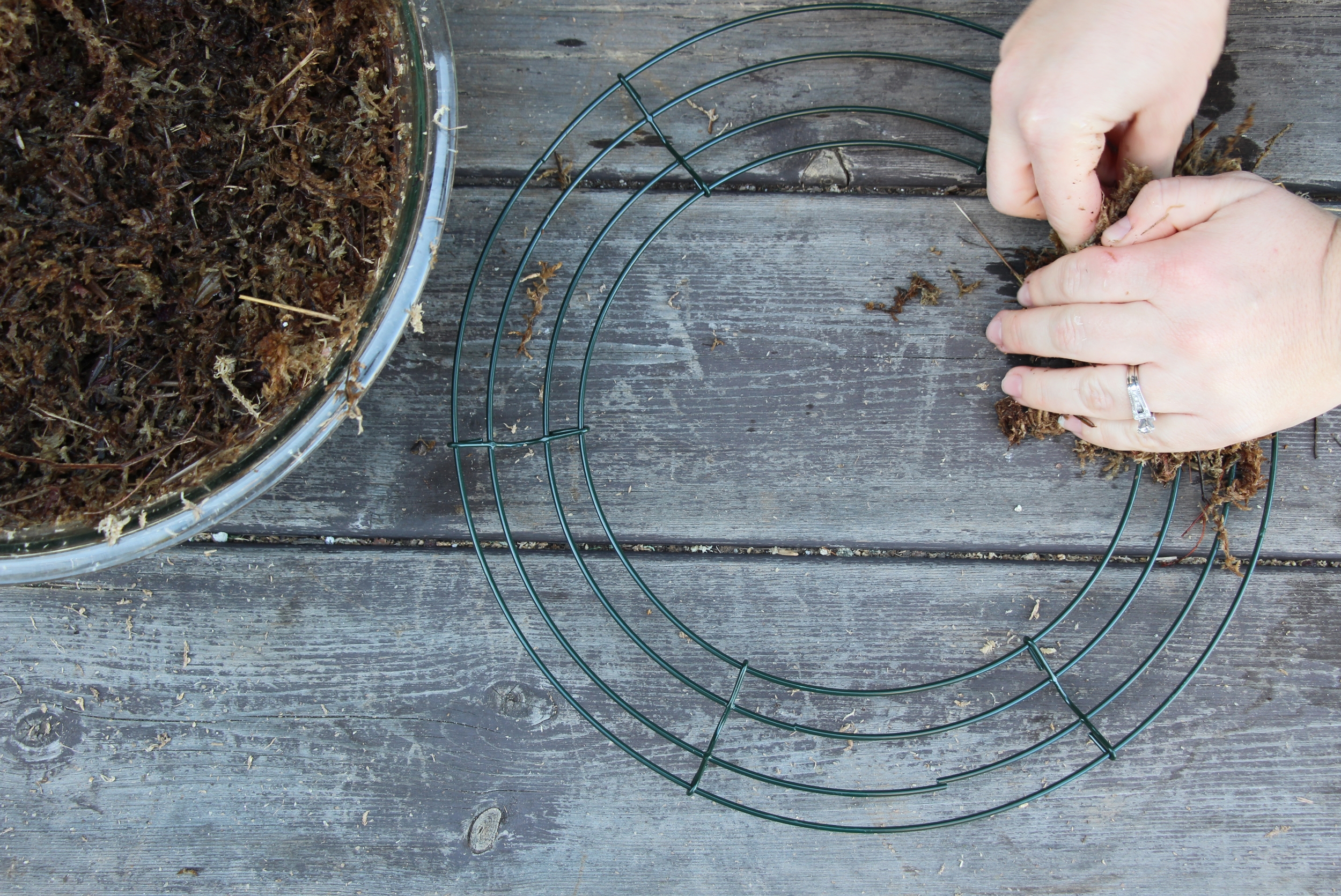 DIY Living Christmas Wreath with Succulents